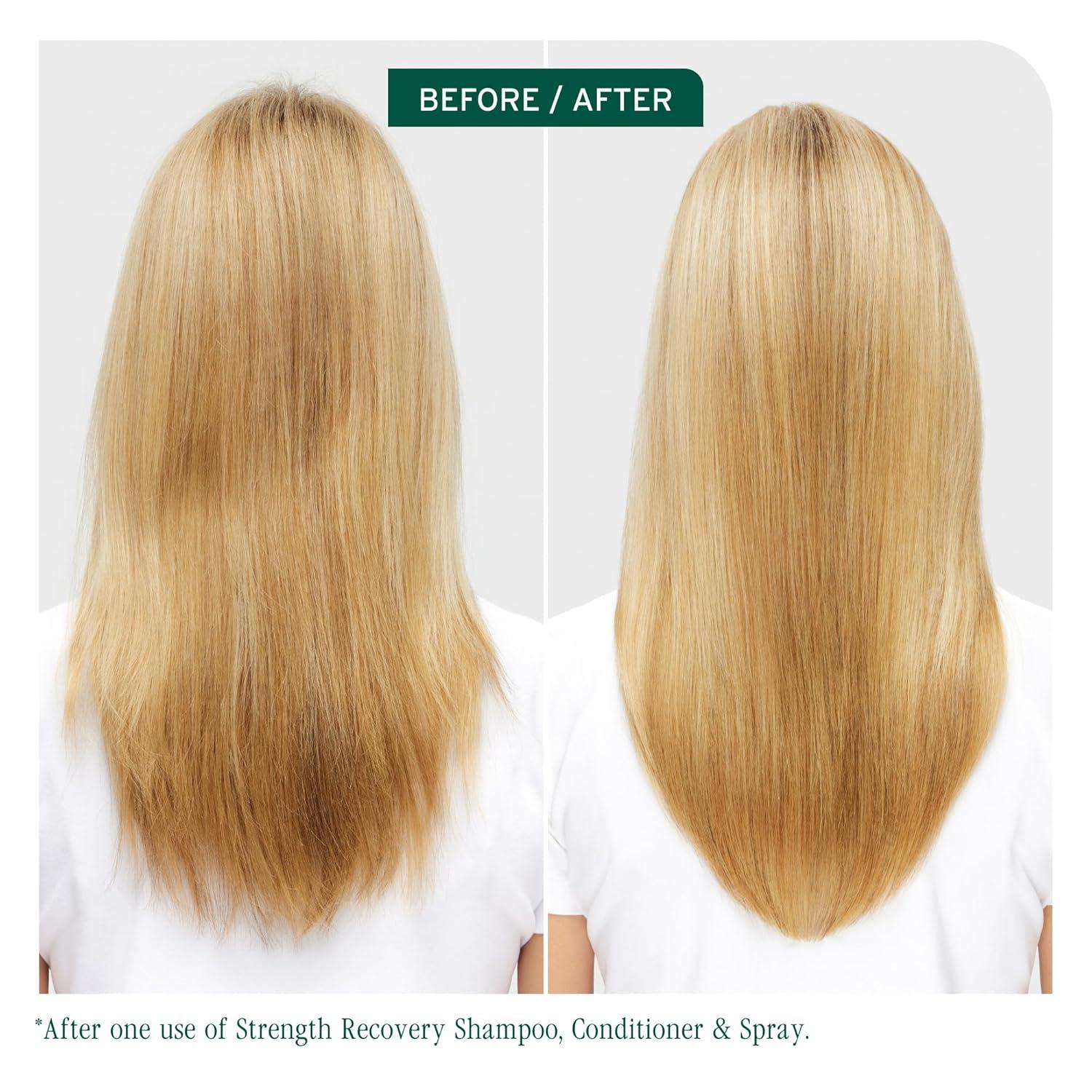 image:imageBiolage Strength Recovery Shampoo Reduces Breakage amp Detangles Instantly Strengthens and Moisturizes For Damaged Hair With Olive Squalane amp Vegan Proteins Paraben amp Mineral OilFree338 Fl Oz Pack of 1